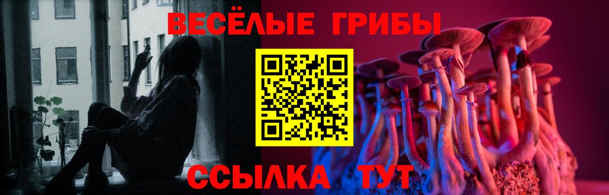 Кудымкар  магазин  наркотиков  Вход с VPN  Псилоцибиновые грибы прущие грибы 